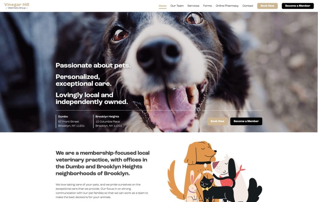 Vinegar Hill Veterinary Group Bushwick Design Brooklyn  Design